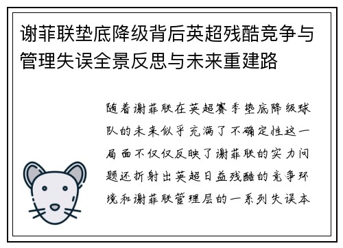 谢菲联垫底降级背后英超残酷竞争与管理失误全景反思与未来重建路 谢菲联垫底降级背后英超残酷竞争与管理失误全景反思与未来重建路